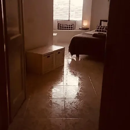Luxury Flat